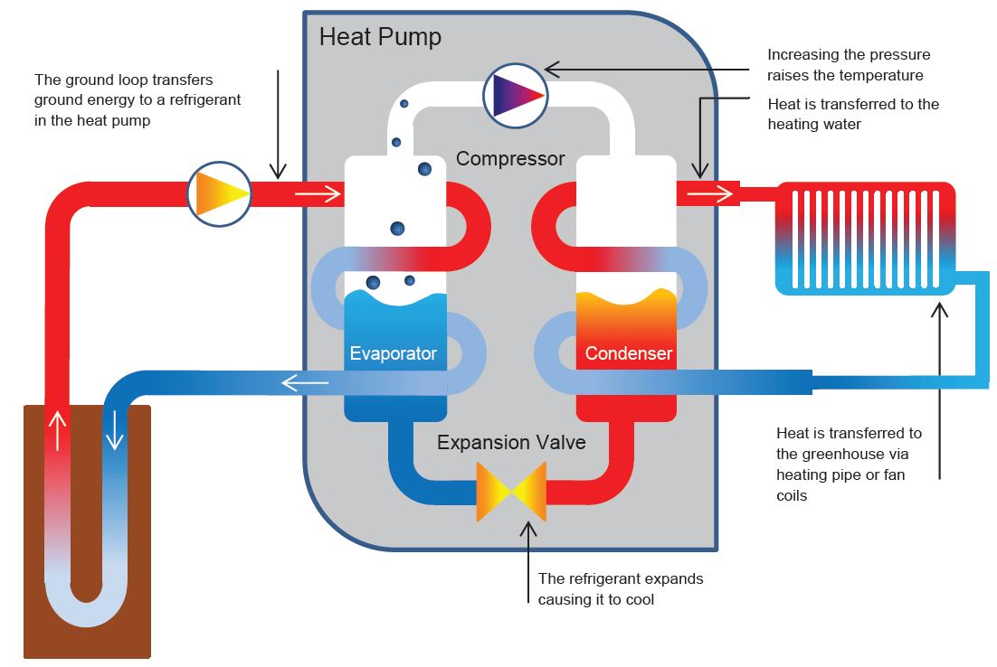 A diagram of how a heat pump works. Copyright NFU energy.